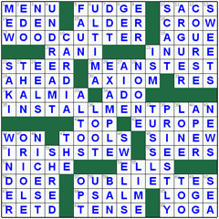 answers to the crossword puzzle