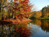 Free online Jigsaw puzzle N22: Autumn panorama
