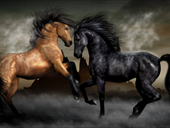 Free online Jigsaw puzzle N52: Horse tango
